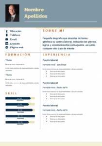 Vista previa: Plantillas de currículum