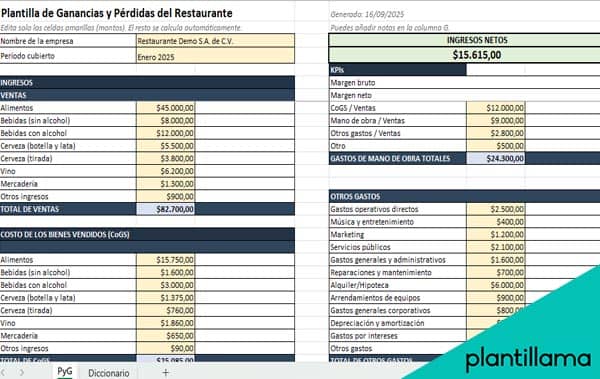 cuenta de perdidas y ganancias plantilla