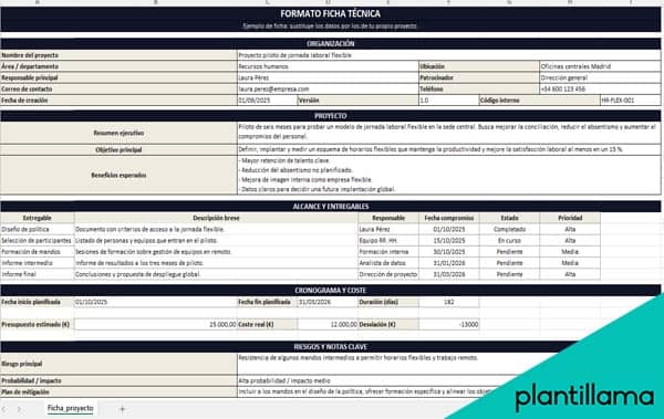 Formato ficha técnica