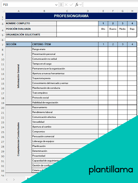 profesiograma excel gratis
