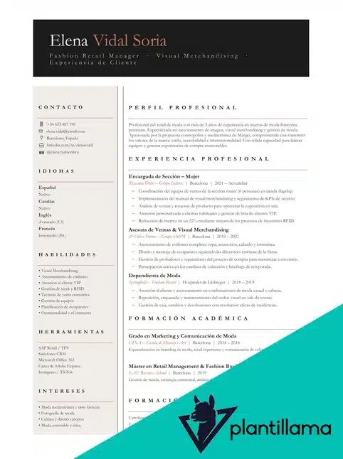 cv para mango