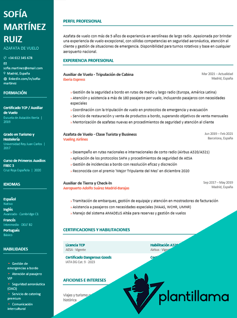 cabin crew curriculum vitae