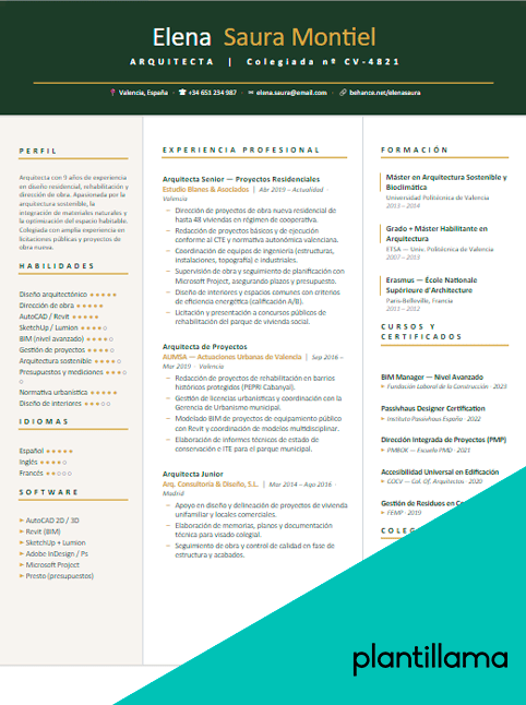 curriculum arquitectura