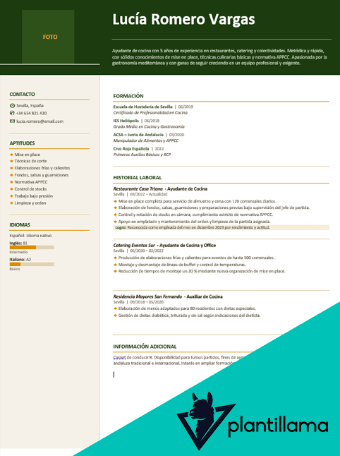 curriculum auxiliar de cocina