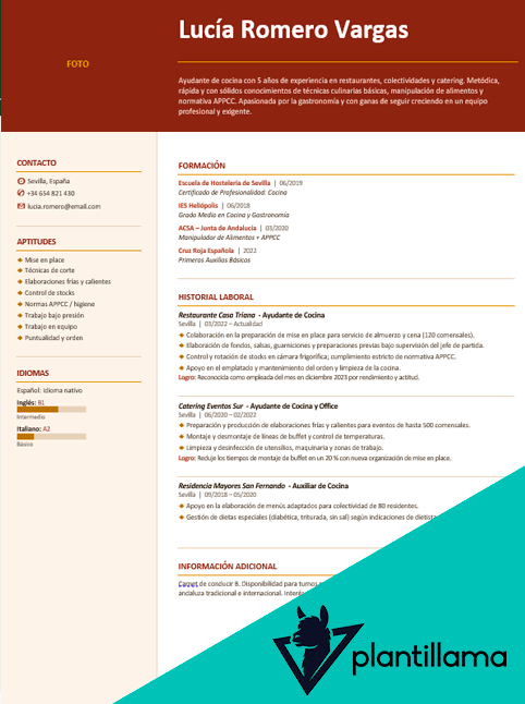 curriculum ayudante de cocina