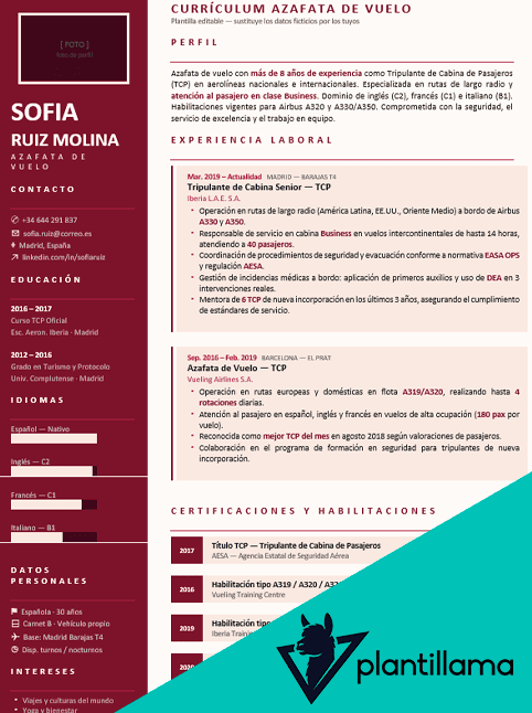 curriculum azafata de vuelo