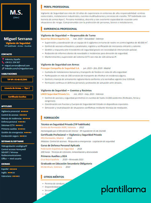 curriculum de vigilante de seguridad