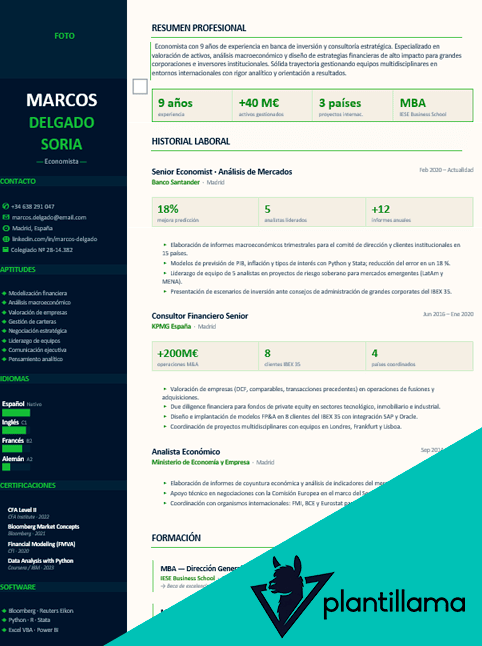 curriculum economista