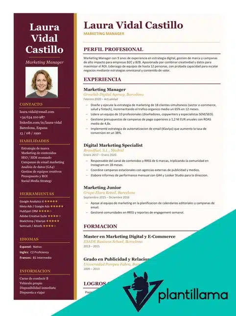 curriculum manager de proyecto