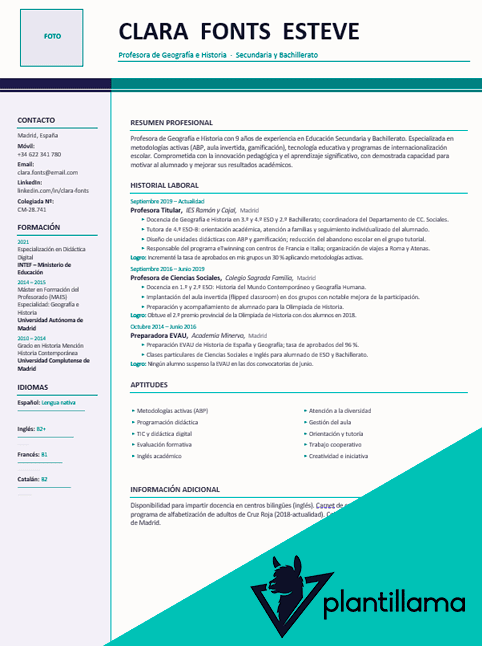 curriculum profesor secundaria