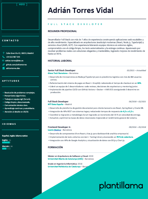 curriculum programador