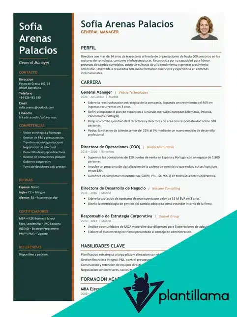 curriculum project manager