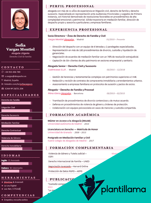 curriculum vitae abogada