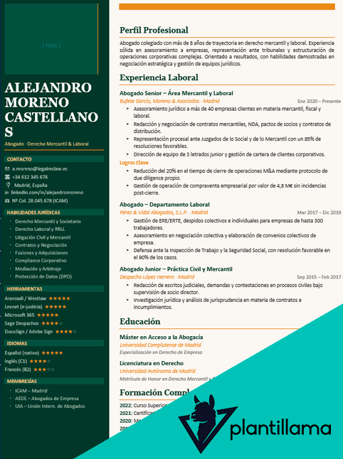 curriculum vitae abogado