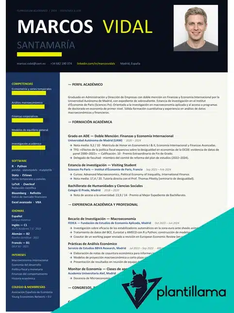 curriculum vitae academico