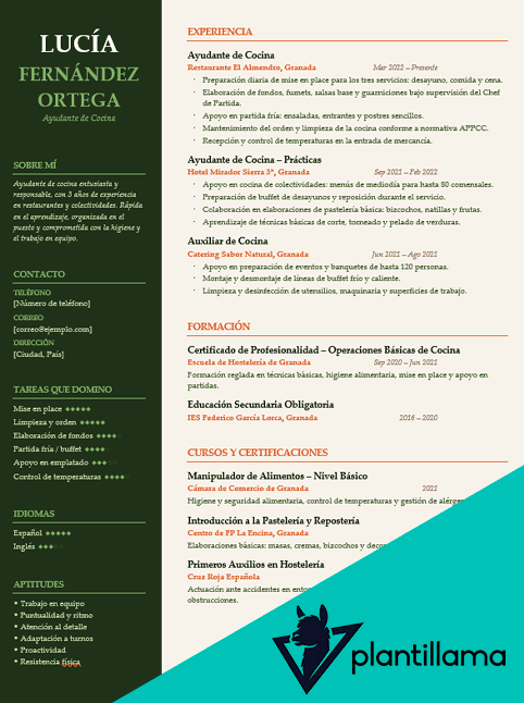 curriculum vitae ayudante cocina