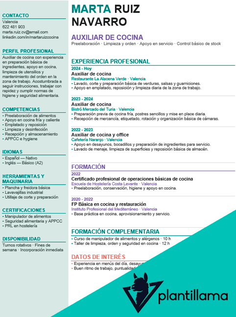 curriculum vitae ayudante de cocina
