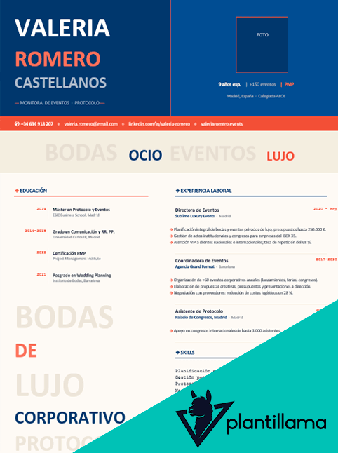 curriculum vitae de monitor