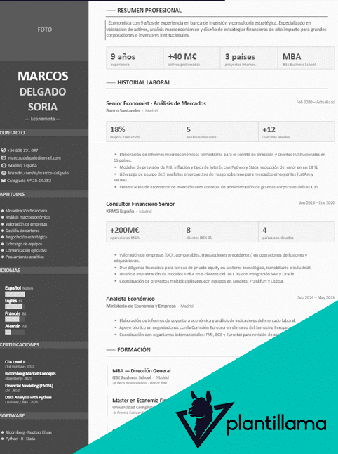 curriculum vitae economia
