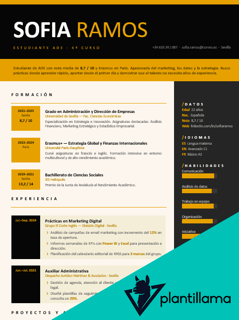 curriculum vitae estudiante