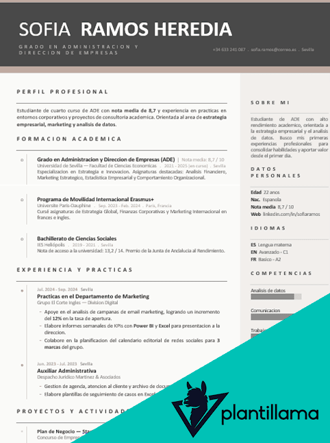 curriculum vitae estudiantes