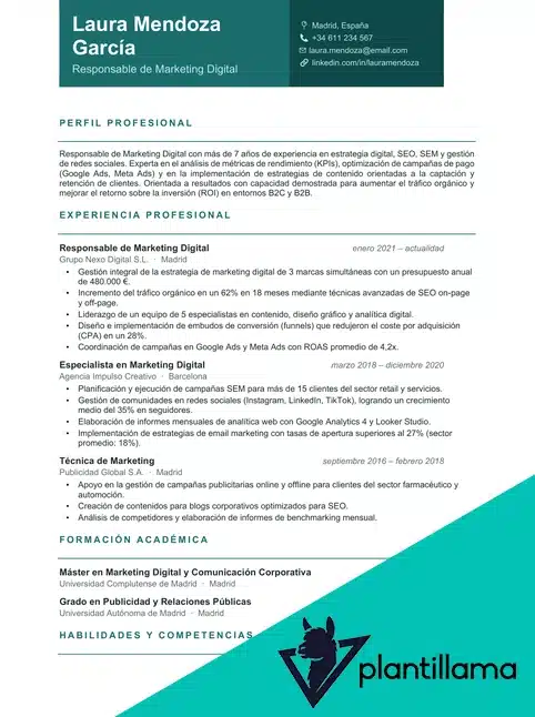 curriculum vitae formato ats