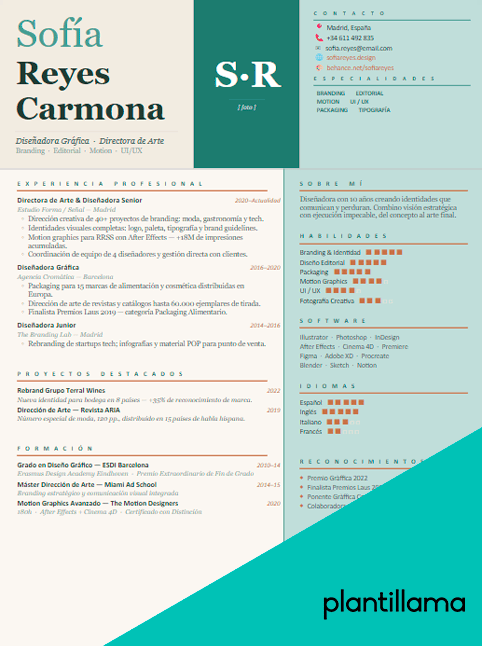 curriculum vitae graphic designer