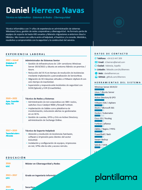 curriculum vitae informatica