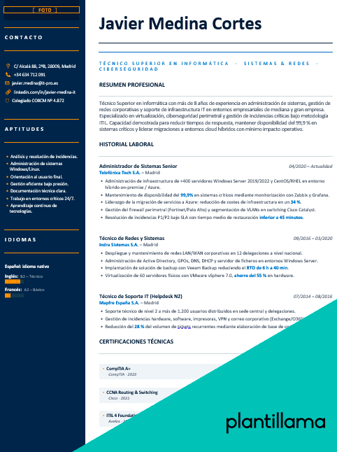 curriculum vitae informatico