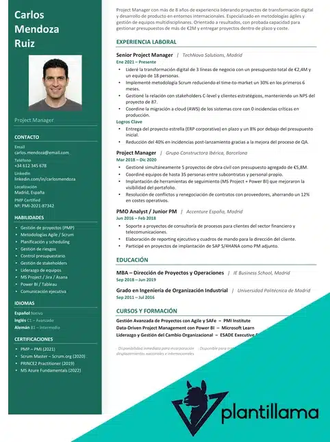 curriculum vitae manager de proyecto