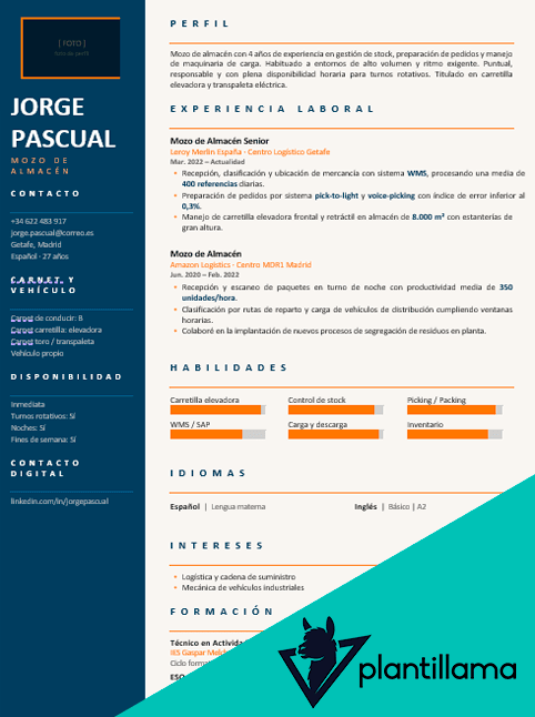 curriculum vitae mozo de almacen