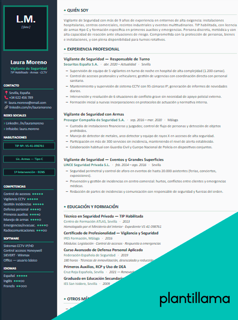curriculum vitae persona de seguridad