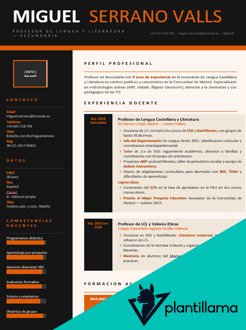 curriculum vitae profesor secundaria