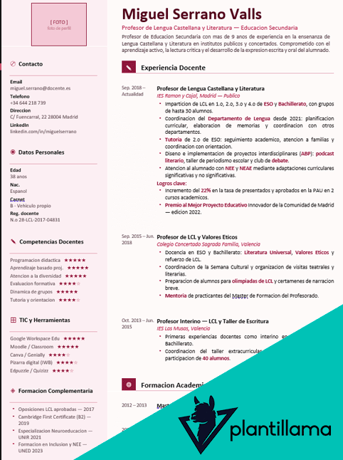 curriculum vitae profesor