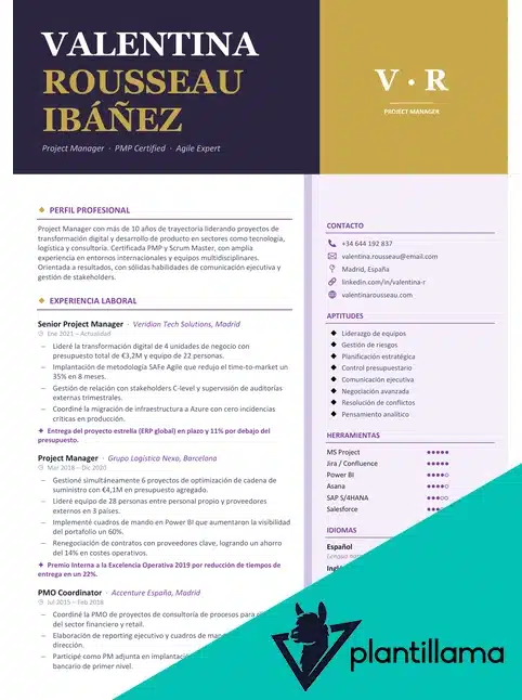 curriculum vitae project manager