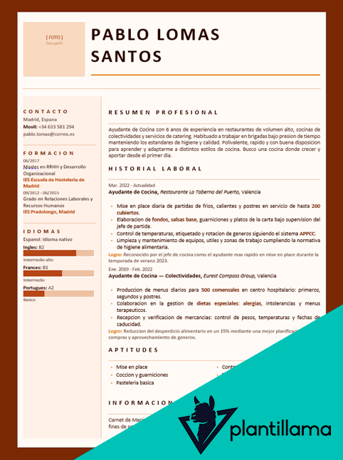 cv auxiliar de cocina