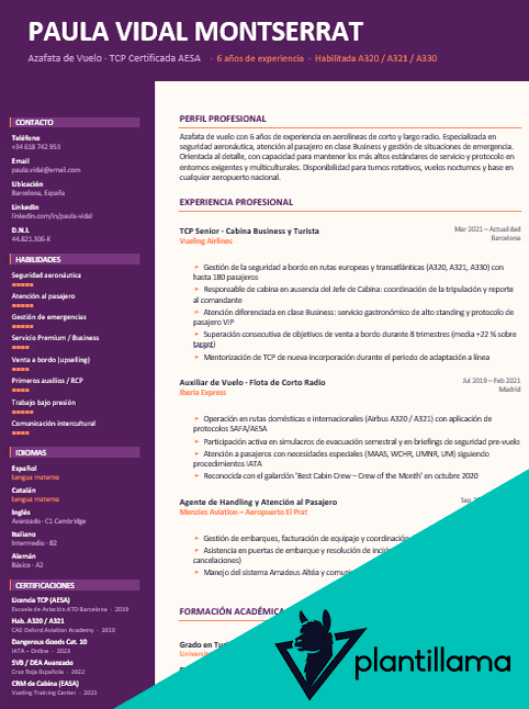 cv azafata de vuelo