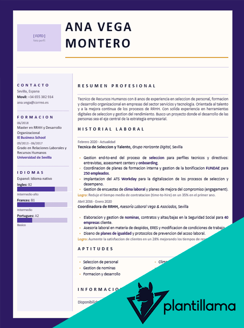 cv de monitora