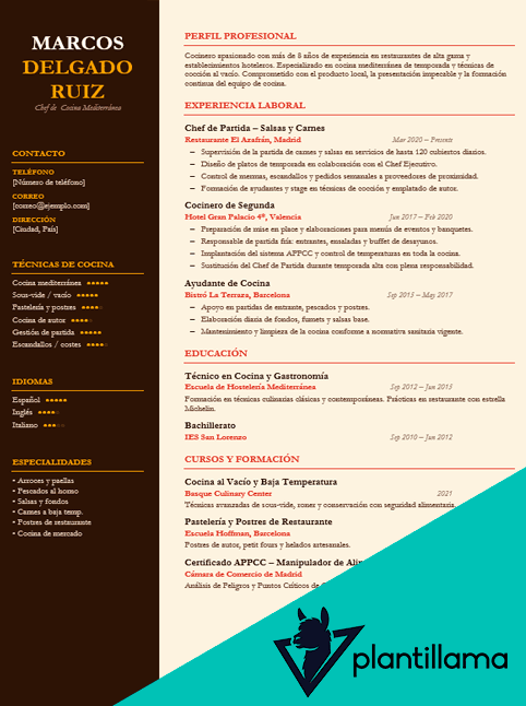 cv de un cocinero