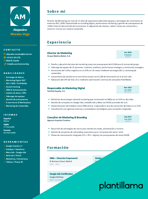 cv director de marketing