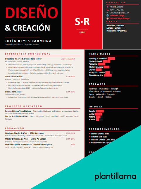 cv disenador grafico