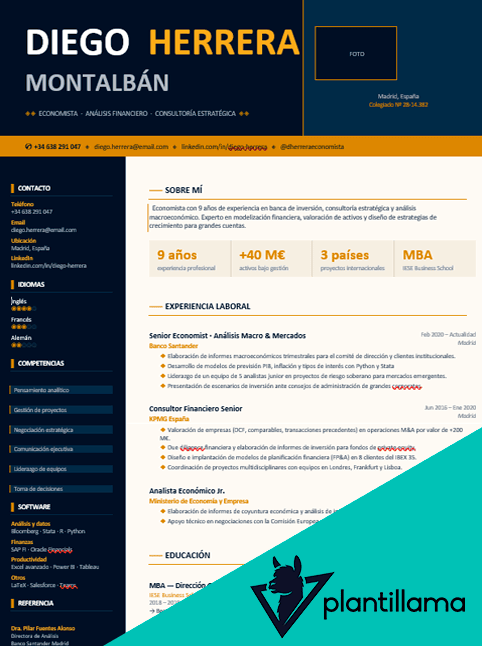 cv economista