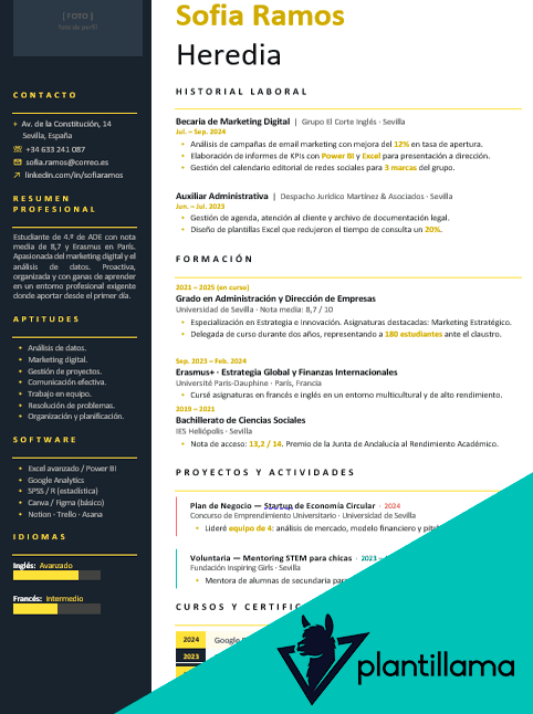 cv estudiante