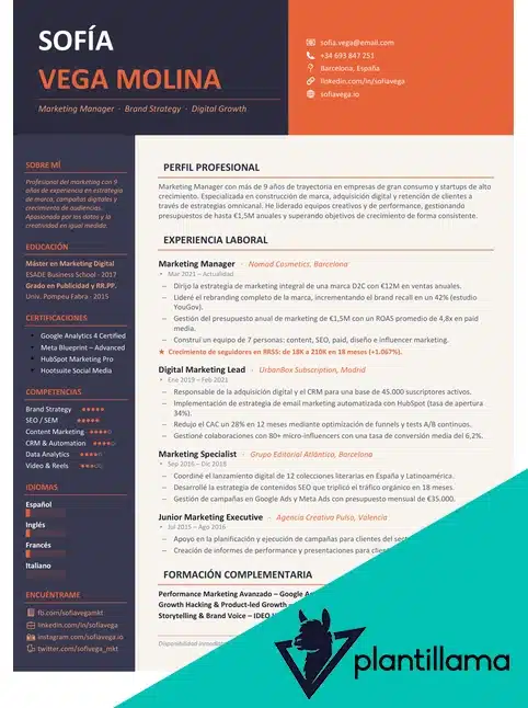 cv manager de proyecto