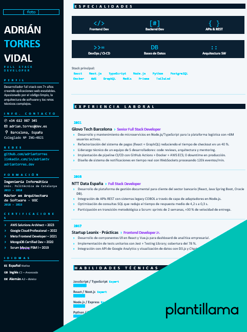 cv programador