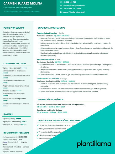 modelo de currículum para cuidadora