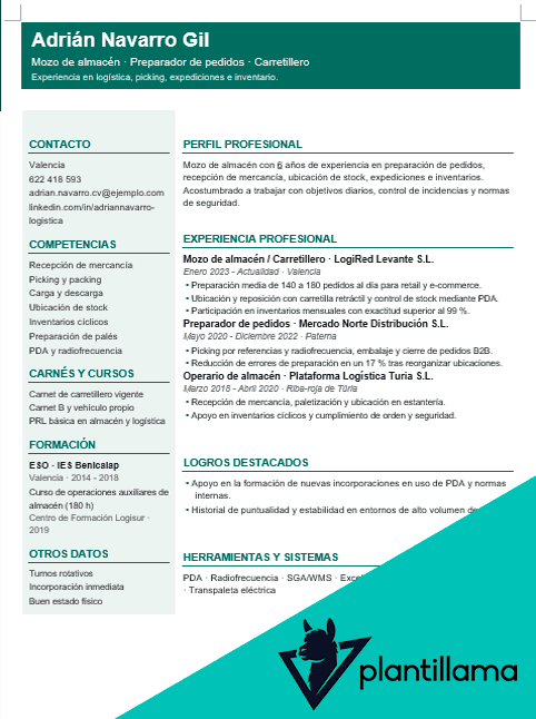 mozo de almacen curriculum