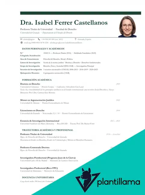 plantilla curriculum vitae academico