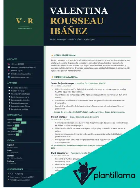 project manager cv