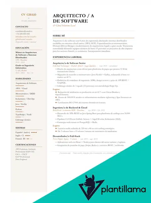 curriculum vitae ciego ejemplo